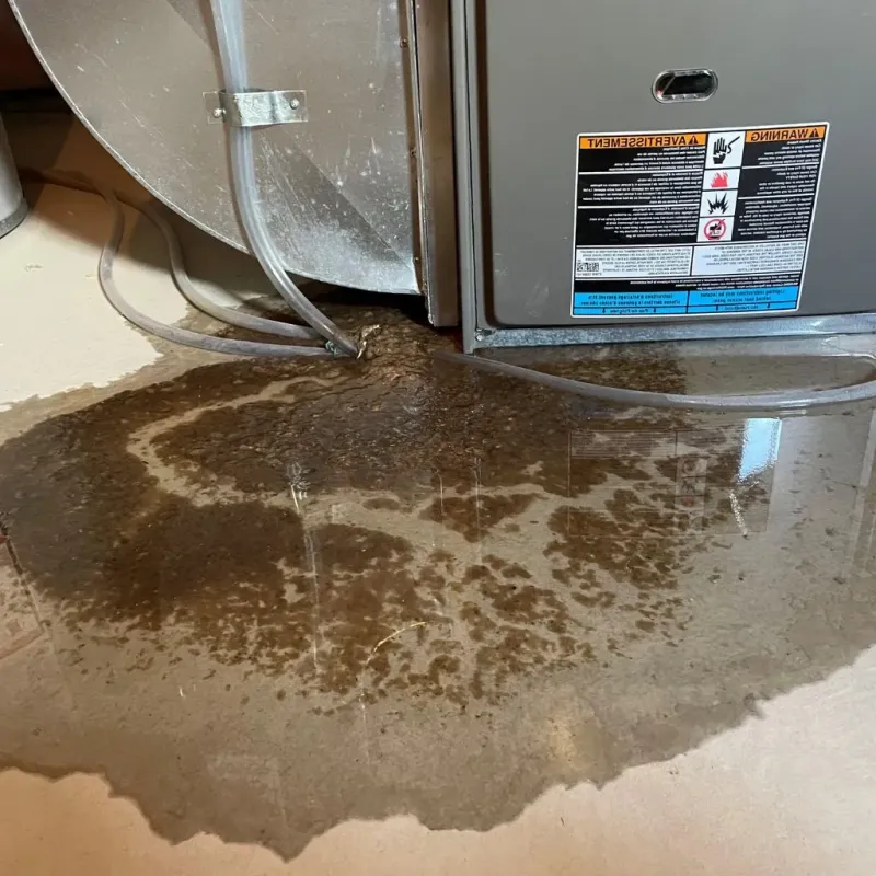 Pipe Burst and Leak Restoration in Lincoln County, KY