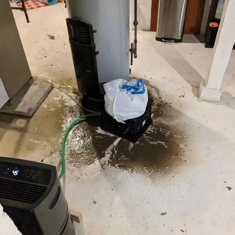 Sewage Backup Cleanup Service in Lincoln County, KY